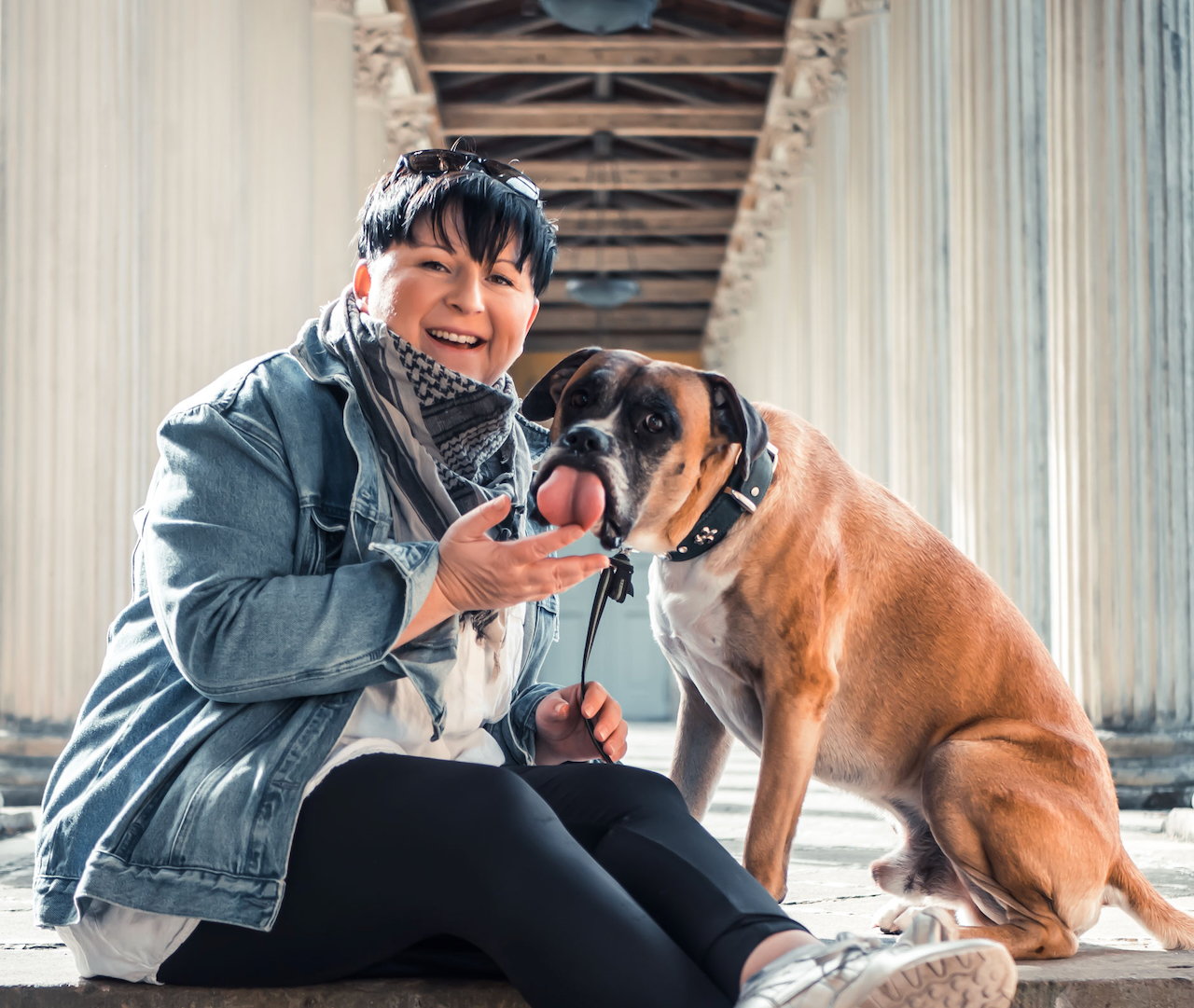 DogsTV
