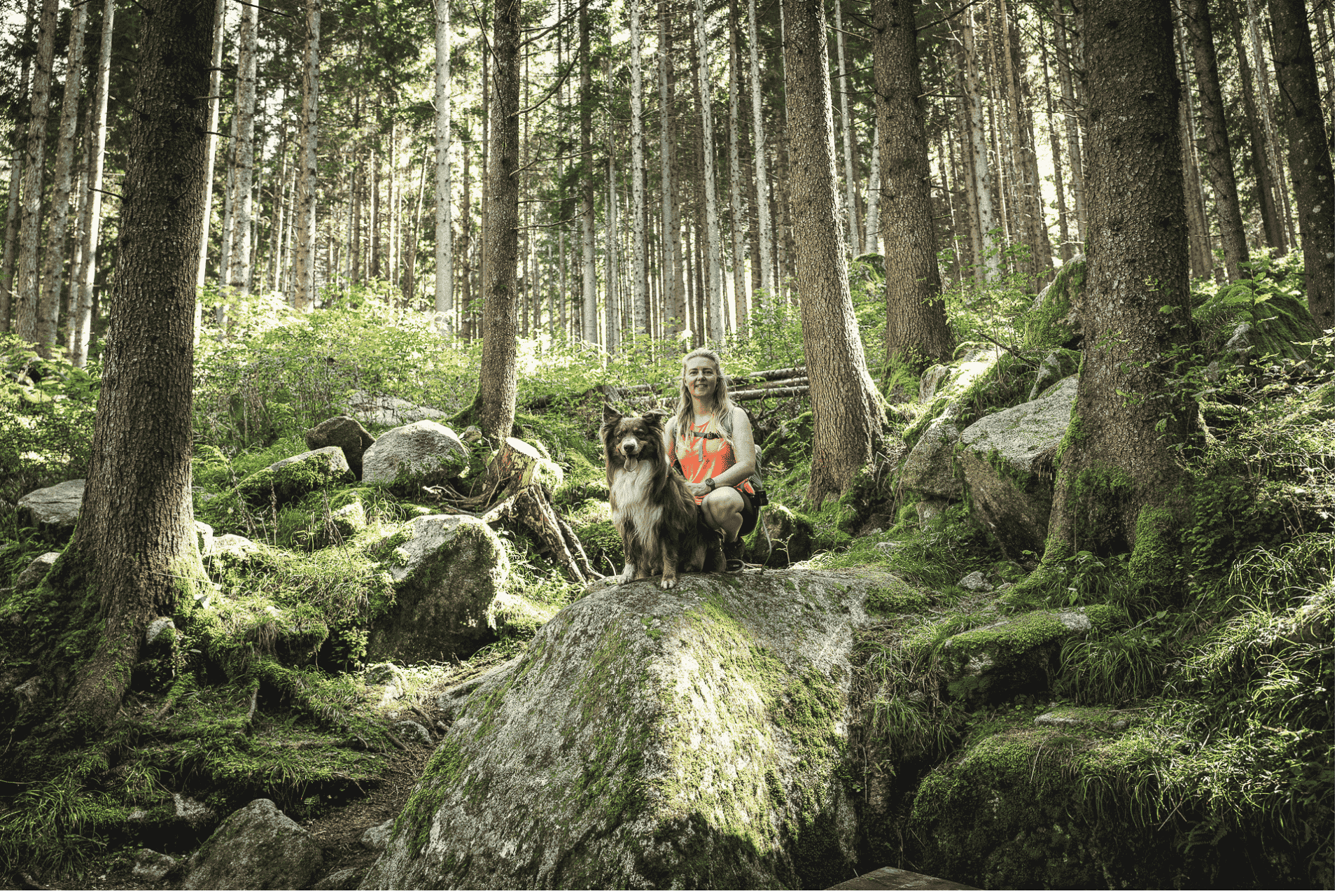 Waldhelden